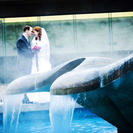 utah-wedding-photographers